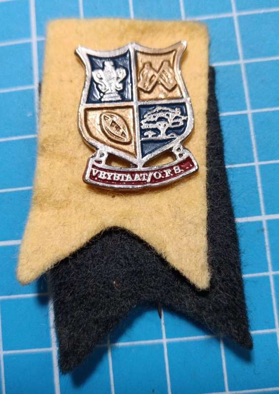 Vintage Northern Freetstate Rugby Pin Badge