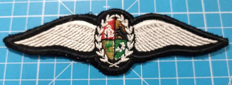 SANDF - SAAF Pilot Wing