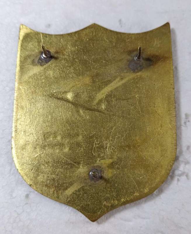 South African Transport Services Security Guard Shoulder Flash