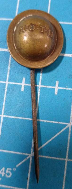 Vintage Moth Hat Pin Badge