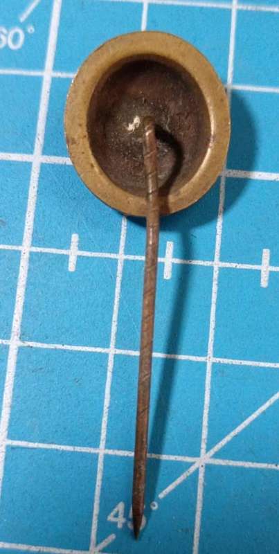 Vintage Moth Hat Pin Badge