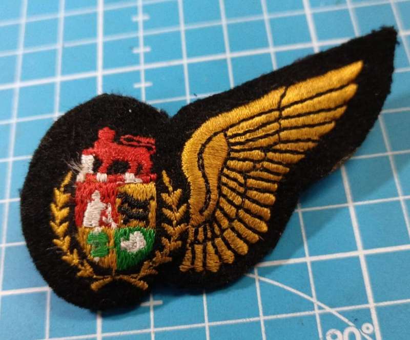 SADF - Air Force Navigator Wing