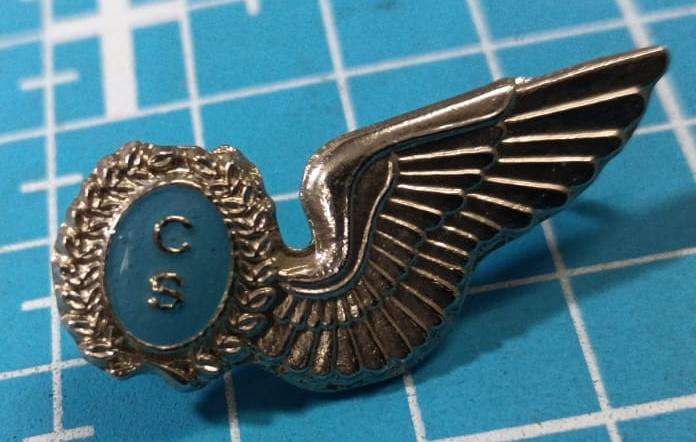 SADF - Air Force Wings