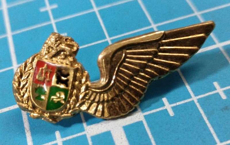 SADF - SAAF Air Force Observer Wing