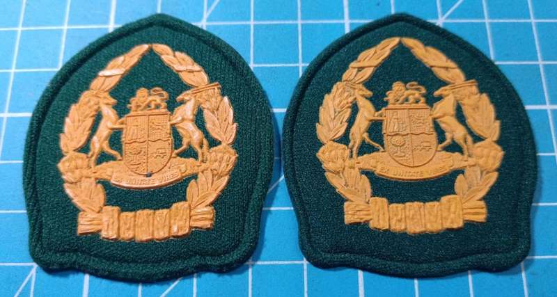 South African Prison Services Rank Pair