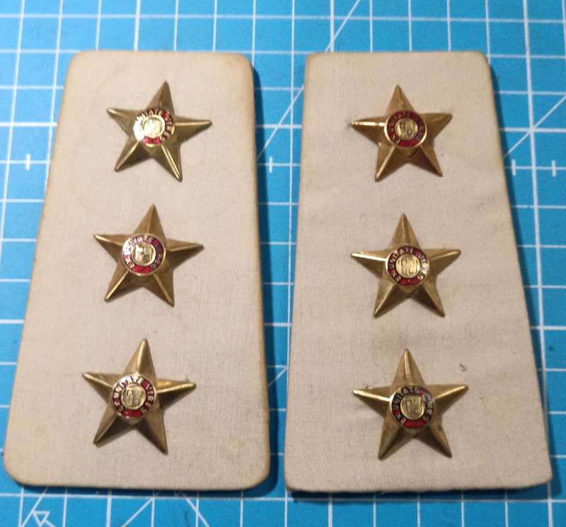South African Prison Services Captain Rank Pair