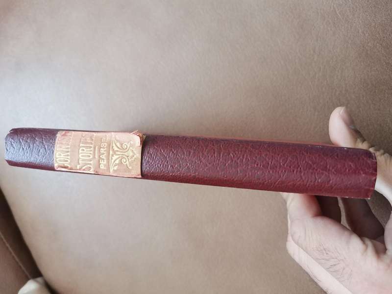 1880s Cornish stories Mark Guy Pearse