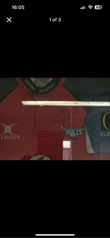 Red blue bulls shirt number 12