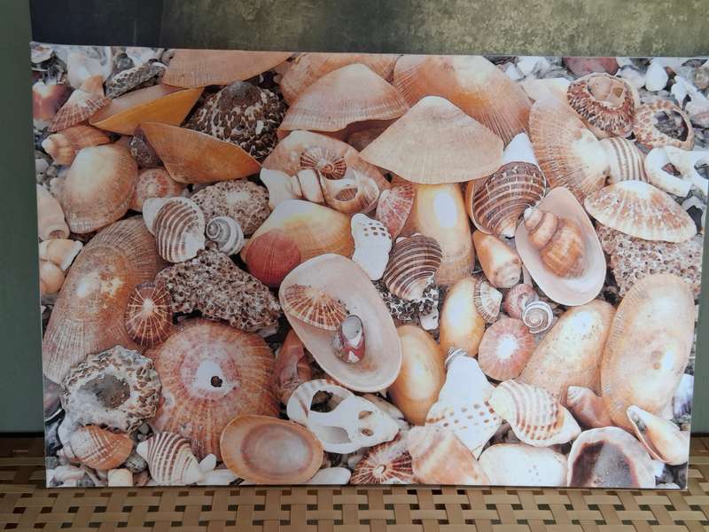 Beautiful print of original photo by Namibian photographer - Shells - Canvas Blocked