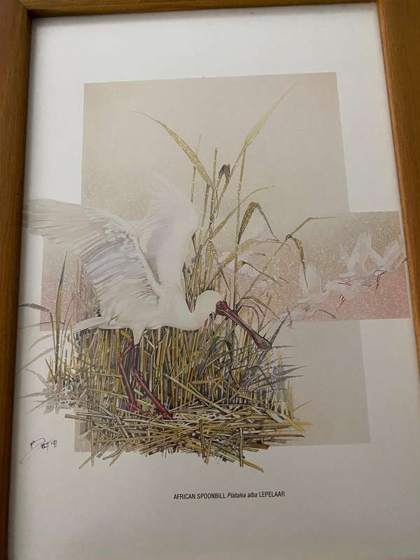 Set of 4 nature study  bird prints