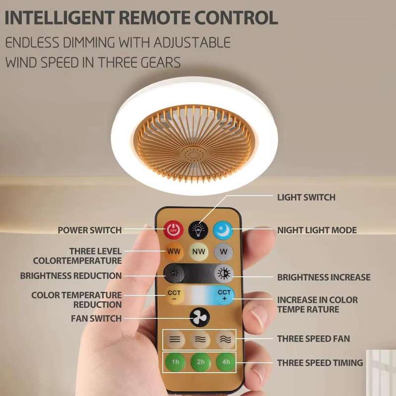 Ceiling Fan Light-Aromatherapy