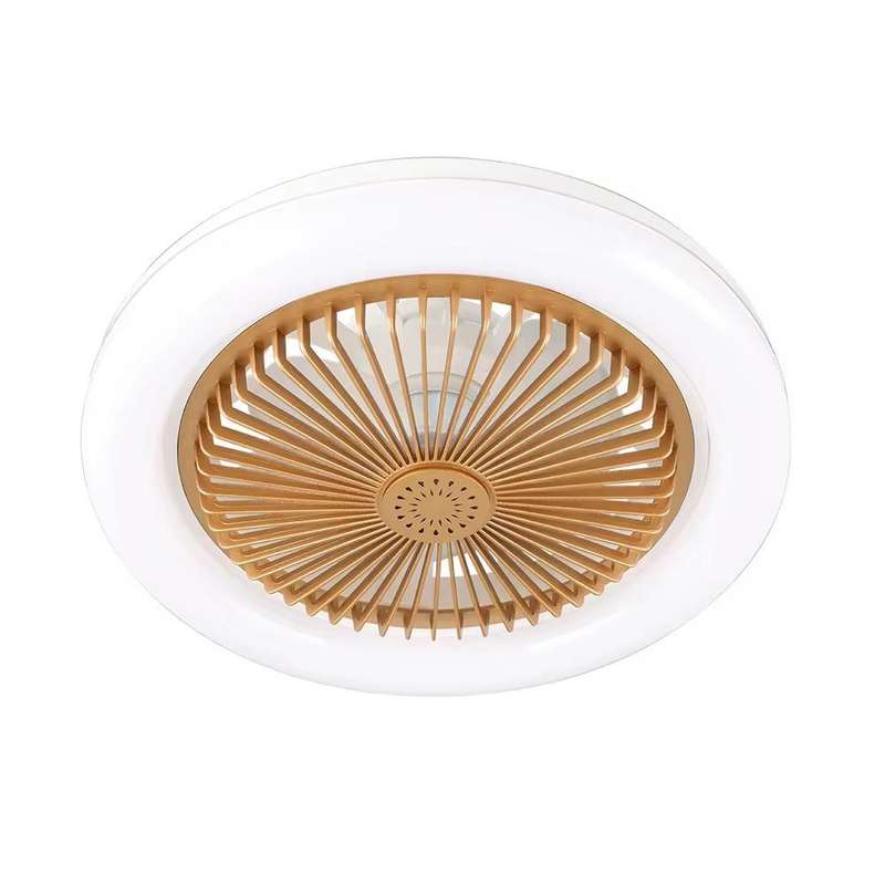 Ceiling Fan Light-Aromatherapy