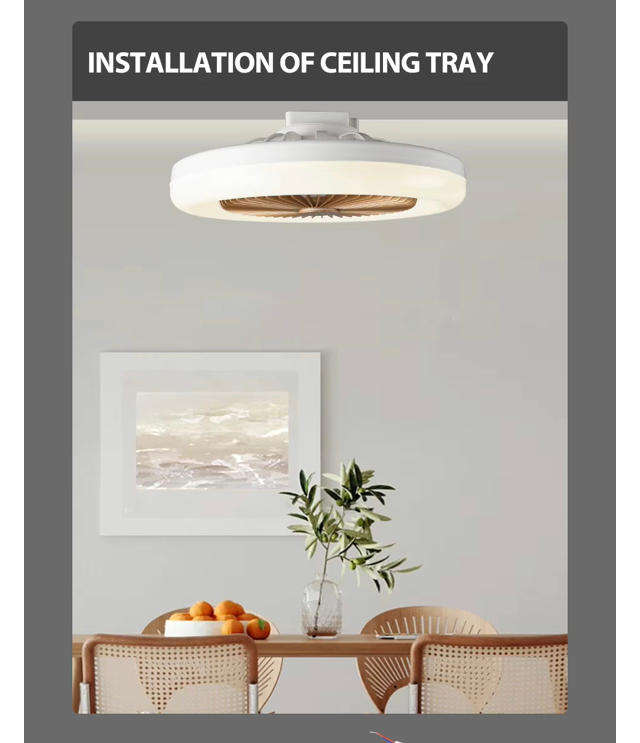 Ceiling Fan Light-Aromatherapy