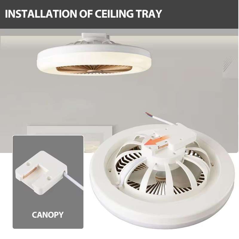 Ceiling Fan Light-Aromatherapy