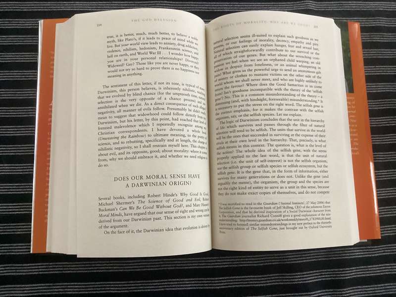 THE GOD DELUSION by Richard Dawkins. Hardback, silver cover edition, in an excellent condition.