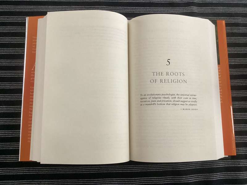 THE GOD DELUSION by Richard Dawkins. Hardback, silver cover edition, in an excellent condition.