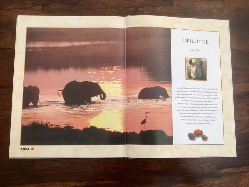 VISION of wildlife, ecotourism and the environment in South Africa. Hardcover, excellent condition.