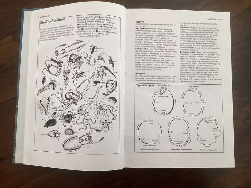 A Guide to The Common Sea Fishes of Southern Africa, by Rudy van der Elst. Hardcover.