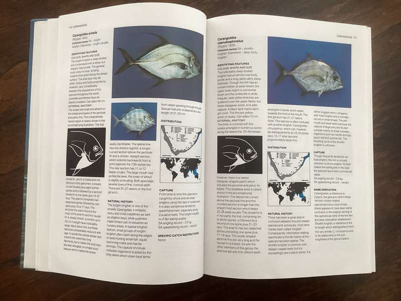 A Guide to The Common Sea Fishes of Southern Africa, by Rudy van der Elst. Hardcover.