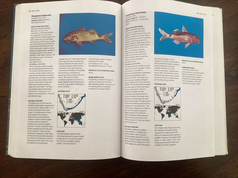 A Guide to The Common Sea Fishes of Southern Africa, by Rudy van der Elst. Hardcover.