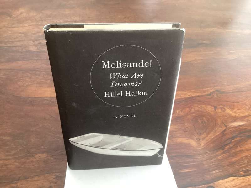 MELISANDE, a novel by Hillel Hawking. Hardcover in a VGood condition.
