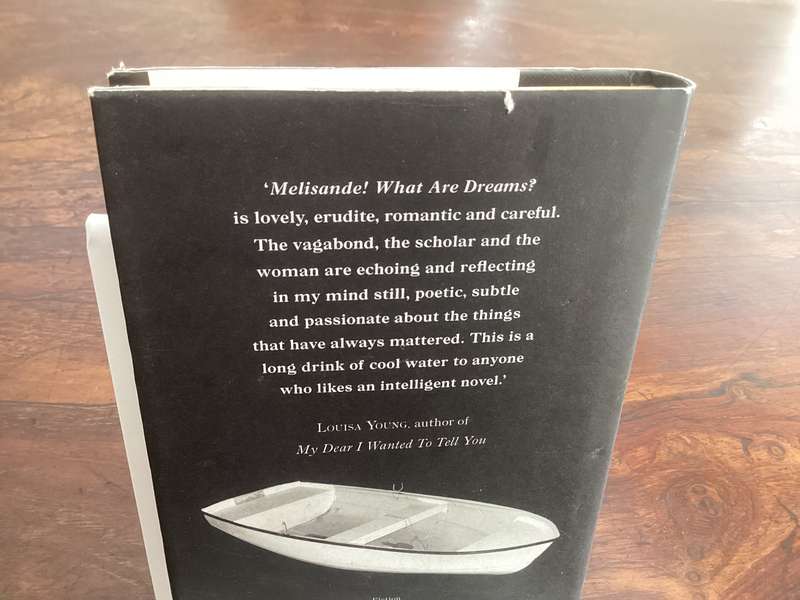MELISANDE, a novel by Hillel Hawking. Hardcover in a VGood condition.