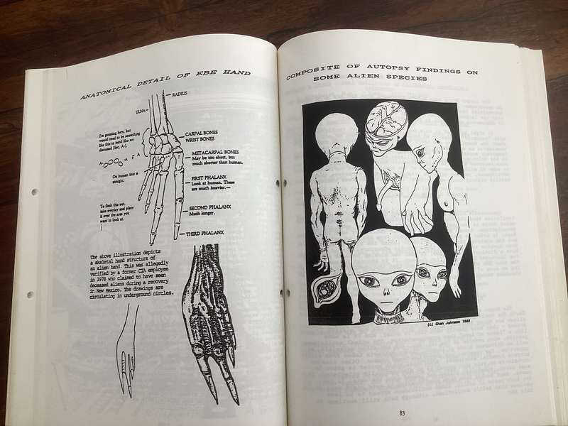 Aliens amongst us - Matrix 3 by renowned researcher, Valerian Valdamar. Softcover/boards. V.G.