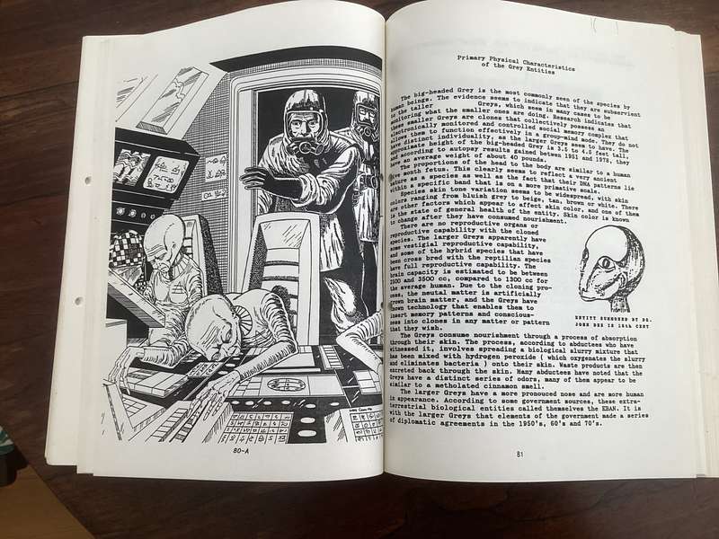 Aliens amongst us - Matrix 3 by renowned researcher, Valerian Valdamar. Softcover/boards. V.G.