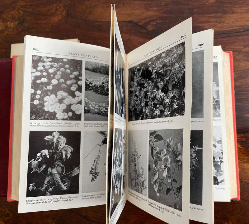 THE GARDENERS GOLDEN TREASURY 1952-1954 edition. Hardcover in a VG condition.