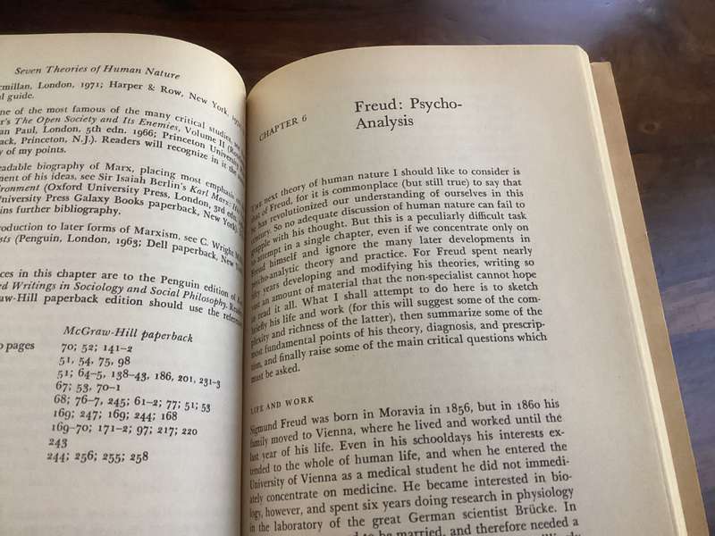 Seven Theories of Human Nature. Paperback in a Good+ condition.