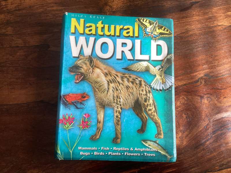 Natural World. A fascinating insight for children of all ages (5 - 95).