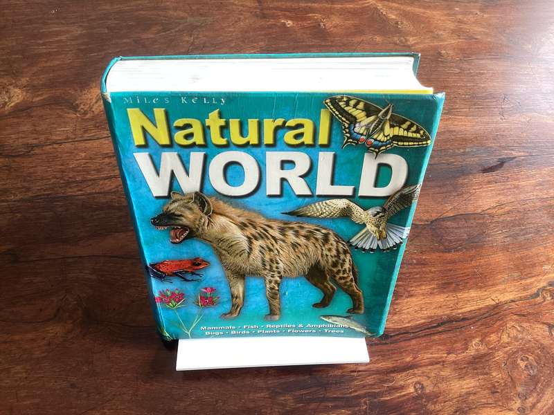 Natural World. A fascinating insight for children of all ages (5 - 95).
