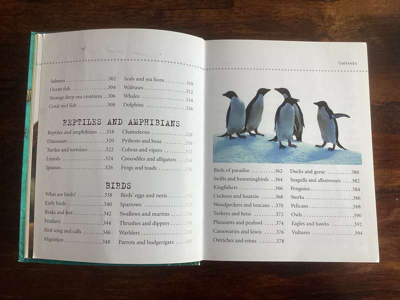 Natural World. A fascinating insight for children of all ages (5 - 95).