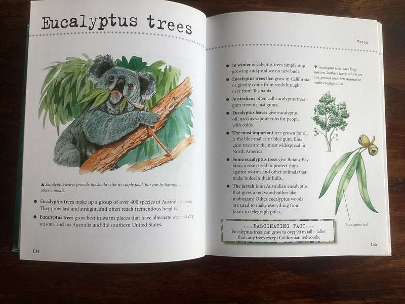 Natural World. A fascinating insight for children of all ages (5 - 95).