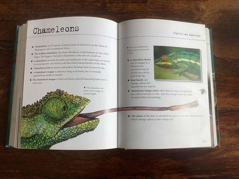 Natural World. A fascinating insight for children of all ages (5 - 95).