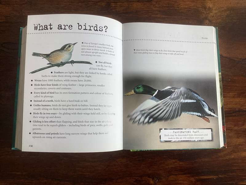 Natural World. A fascinating insight for children of all ages (5 - 95).