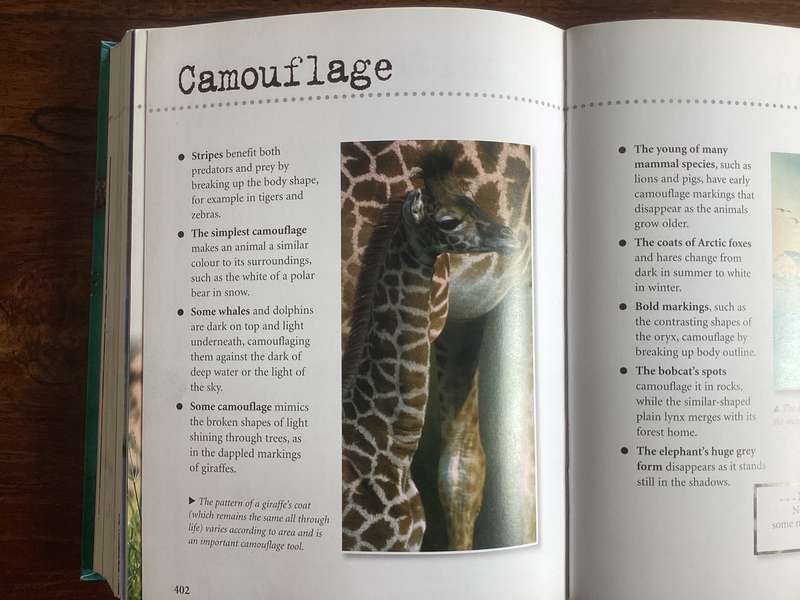 Natural World. A fascinating insight for children of all ages (5 - 95).