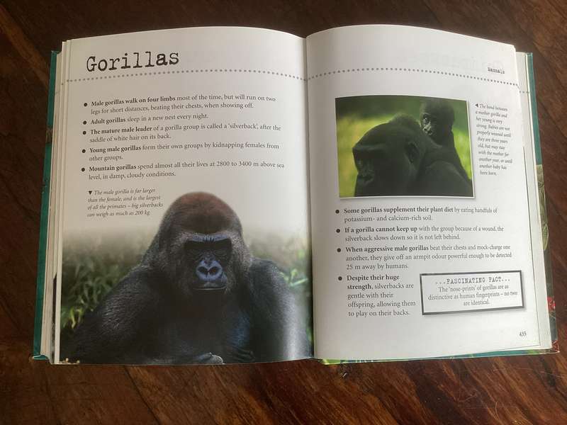 Natural World. A fascinating insight for children of all ages (5 - 95).
