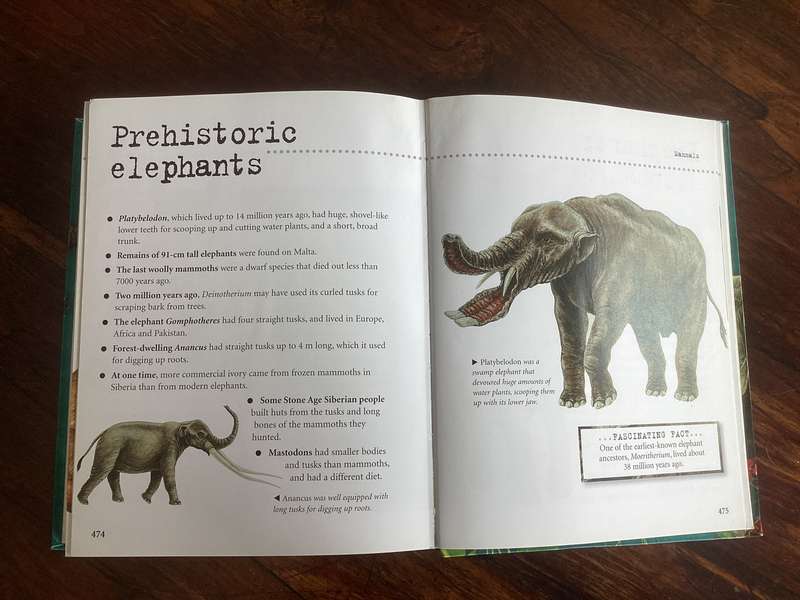 Natural World. A fascinating insight for children of all ages (5 - 95).