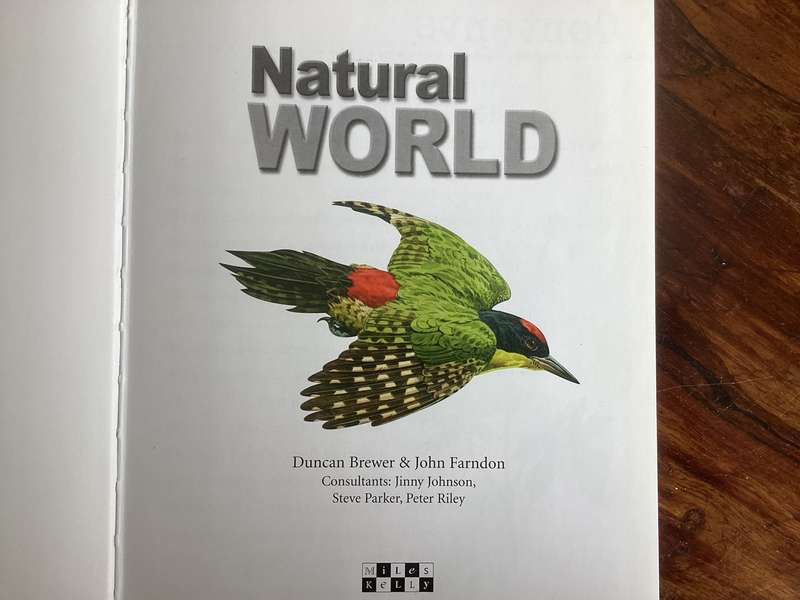 Natural World. A fascinating insight for children of all ages (5 - 95).