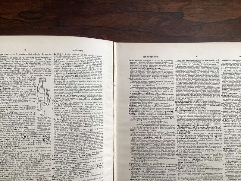 A Standard Dictionary of The English Language, by Funk & Wagnall (1904).