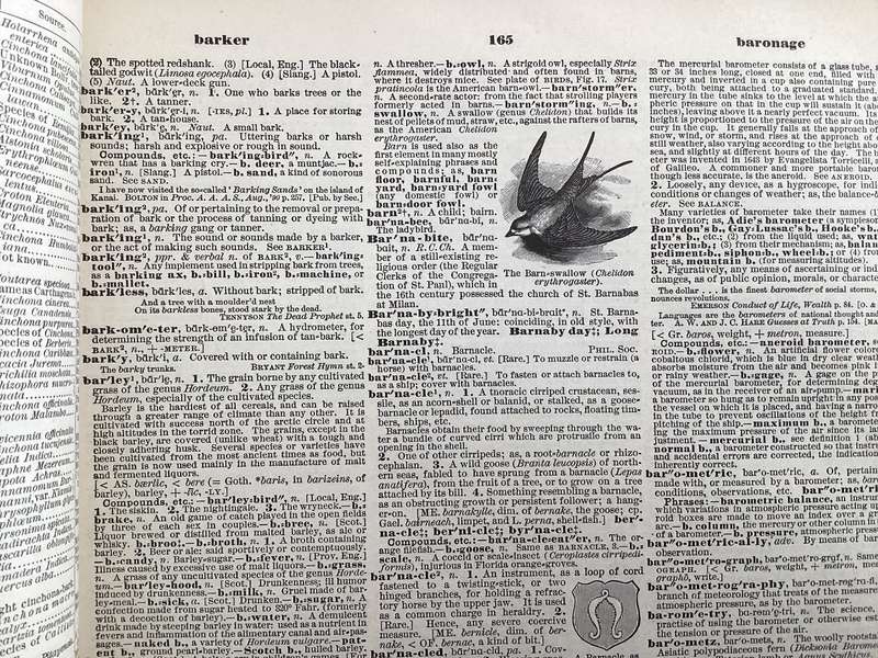 A Standard Dictionary of The English Language, by Funk & Wagnall (1904).