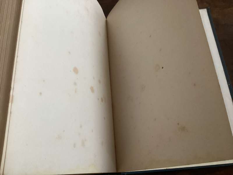 THE AMERICAN COMMONWEALTH Volumes 1 & 2. Hardcovers, 1920 N.Y.