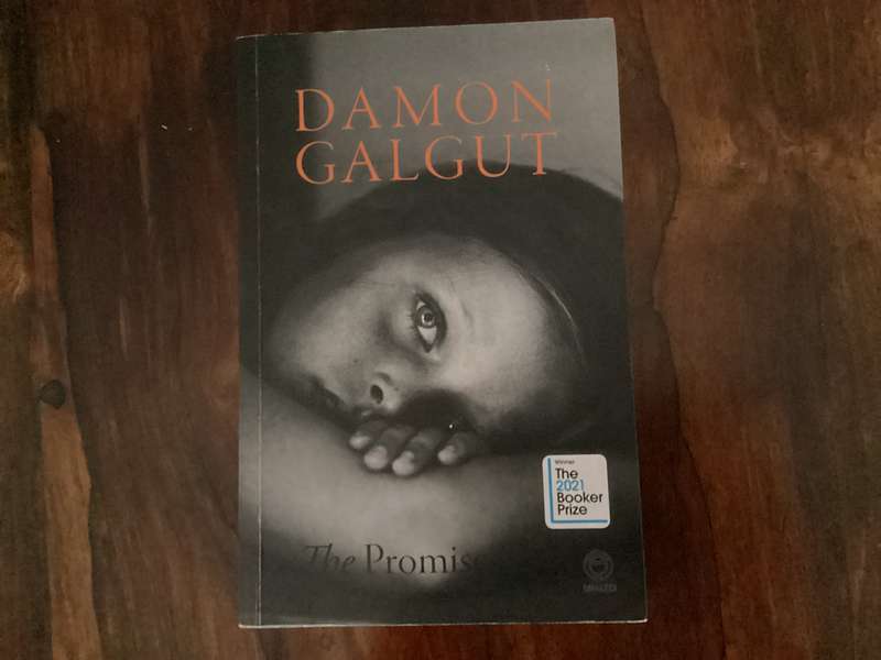 THE PROMISE by Damon Galgut. Paperback in a V Good + condition.