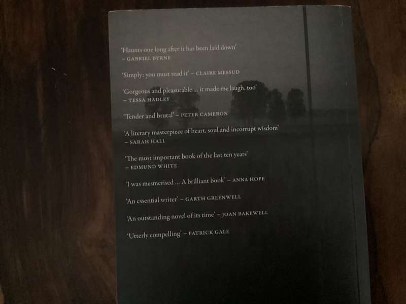 THE PROMISE by Damon Galgut. Paperback in a V Good + condition.