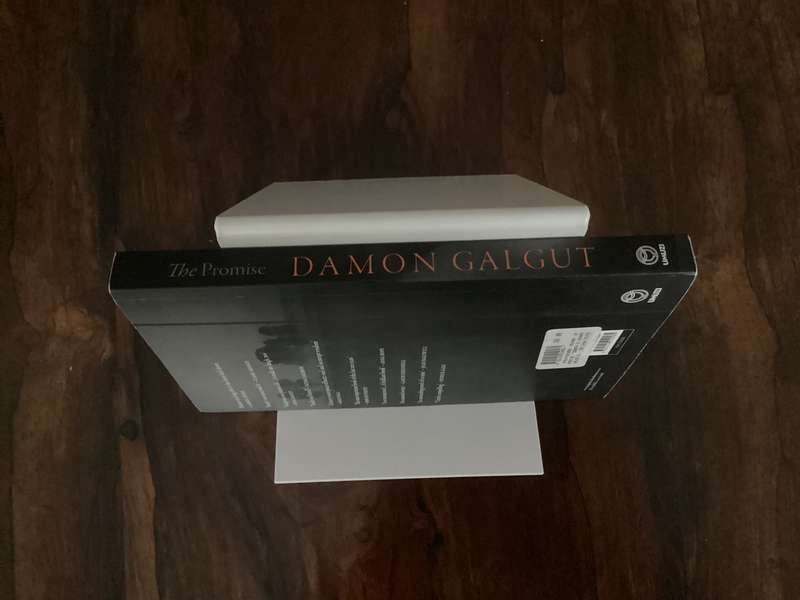 THE PROMISE by Damon Galgut. Paperback in a V Good + condition.