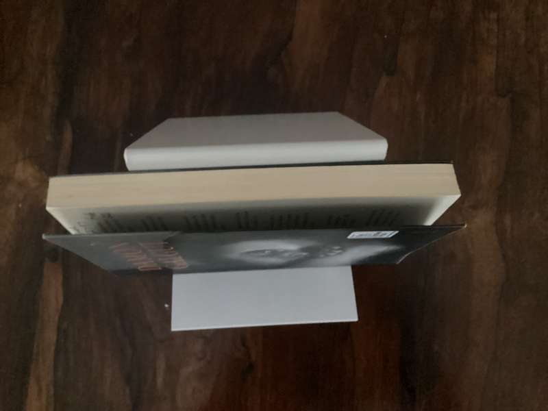 THE PROMISE by Damon Galgut. Paperback in a V Good + condition.