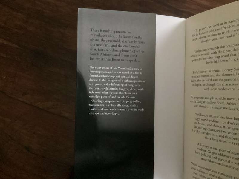 THE PROMISE by Damon Galgut. Paperback in a V Good + condition.