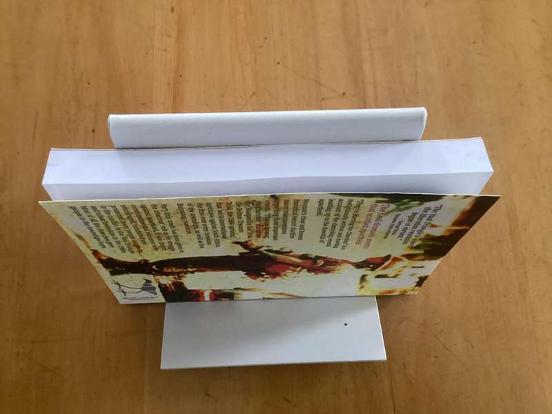 THEYRE BURNING THE CHURCHES, by Patrick Noonan, paperback excellent condition.
