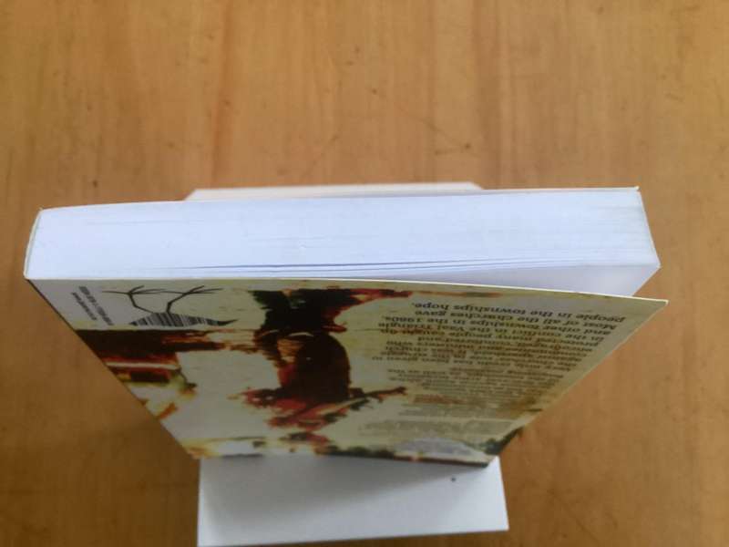 THEYRE BURNING THE CHURCHES, by Patrick Noonan, paperback excellent condition.